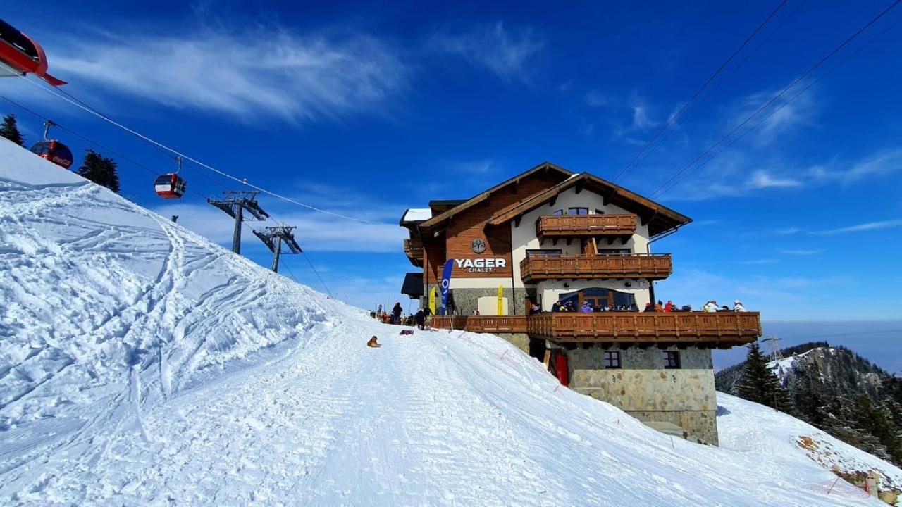 Yager Chalet 포이아나브라소프 외부 사진
