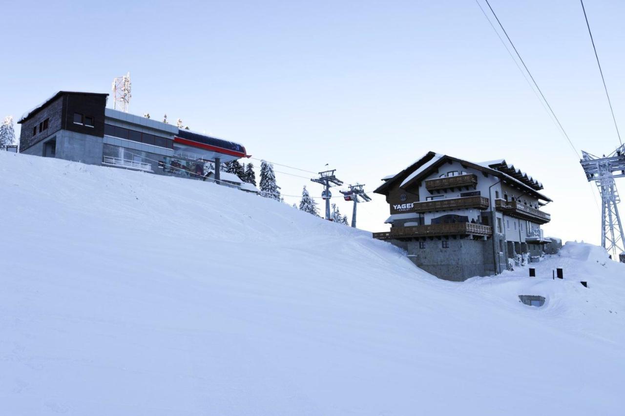 Yager Chalet 포이아나브라소프 외부 사진